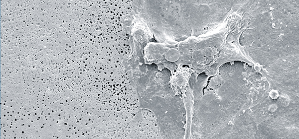 Electron Microscope Image of Porous Silicon